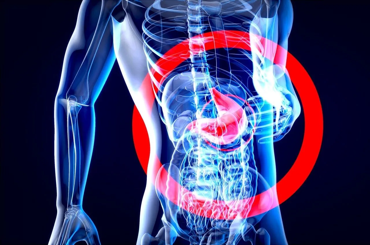 Exploring The Link Between Poor Digestion And Liver Health Exploring The Link Between Poor Digestion And Liver Health