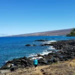 Exploring What Organ Menopause Affects the Most