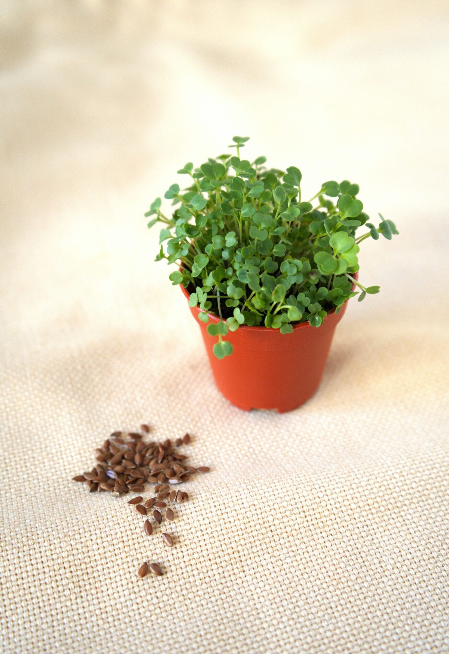 Key Nutrients for Optimal Liver Function Key Nutrients for Optimal Liver Function