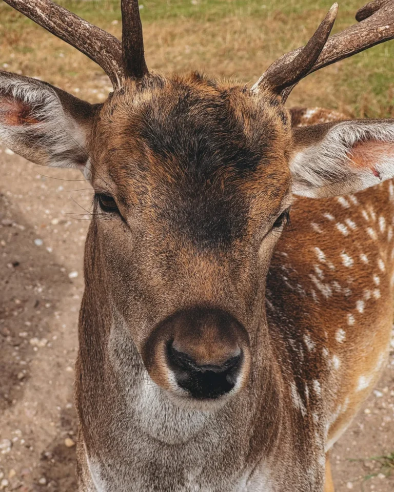 Is Menopause the Same Experience for All Women?