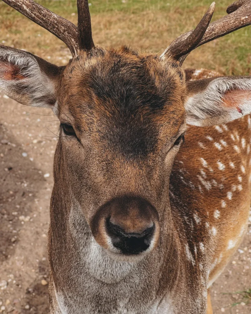 Is Menopause the Same Experience for All Women?