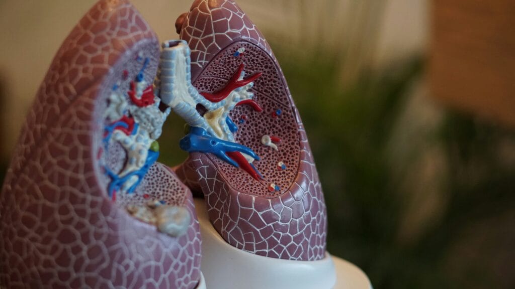 Preventing Liver Damage from Aging and Environmental Factors