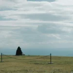 Strategies for Sustaining Liver Health as You Age