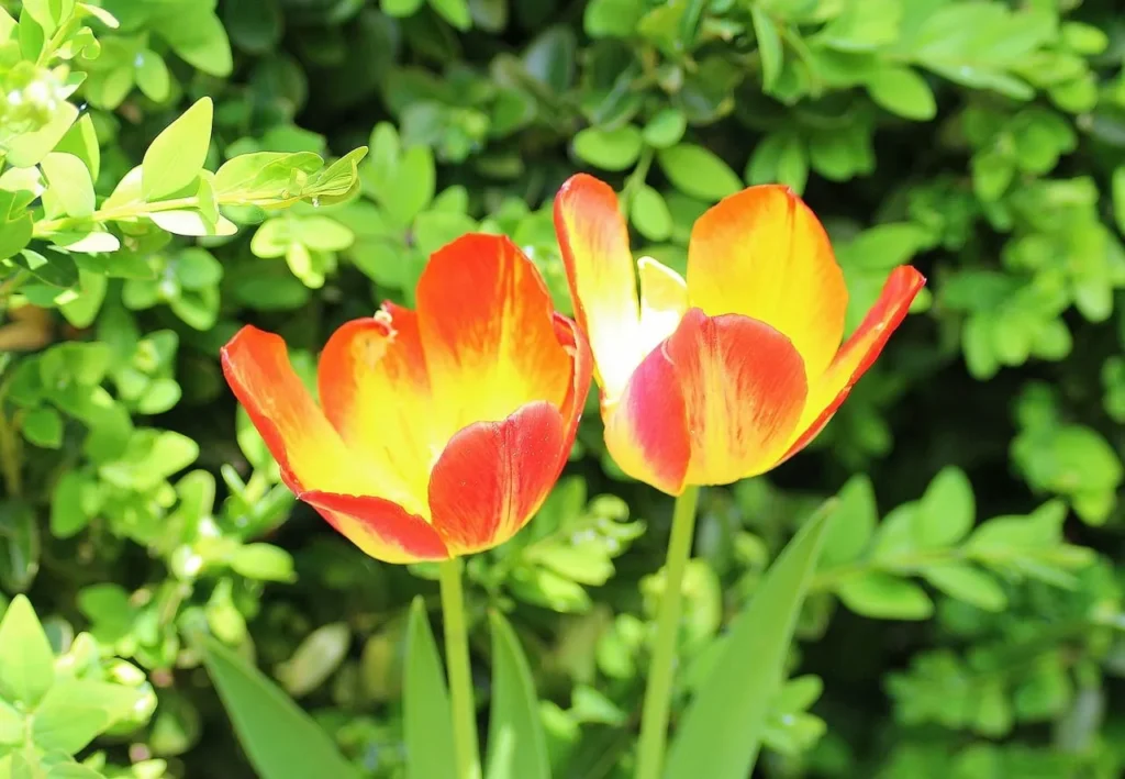Understanding The Signs Of Menopause Depression Understanding The Signs Of Menopause Depression