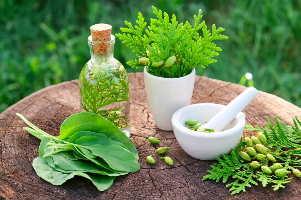 The Power of Nature: How Natural Supplements Can Help You Lose Weight