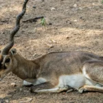 What’s the Best Way for Women to Reduce Belly Fat Effectively?