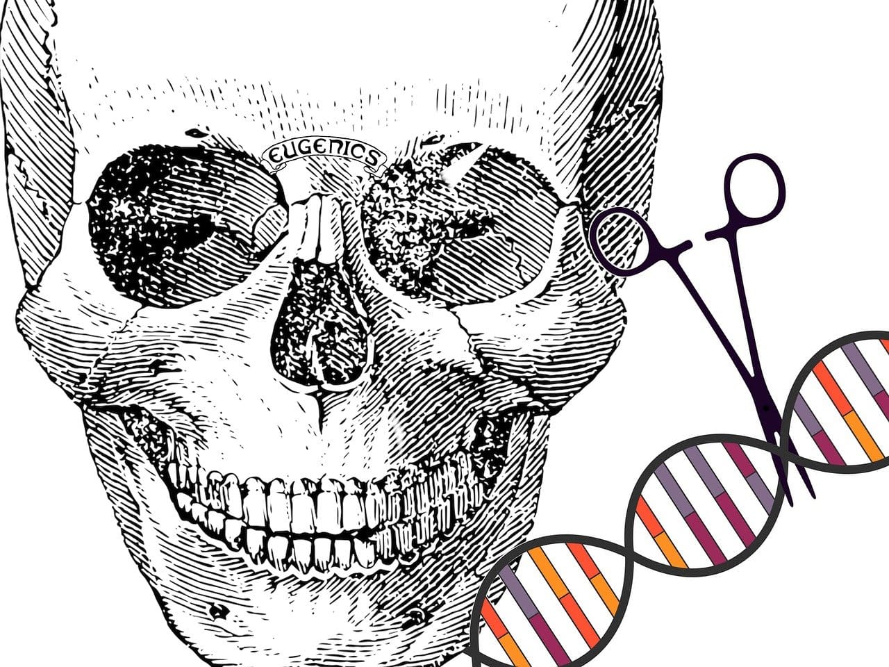 Exploring the Role of Genetics in Belly Fat Accumulation