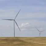 Say Goodbye to Fatigue: The Best Supplements for Increasing Energy Levels | energy levels, fatigue, supplements | energy levels, fatigue, supplements