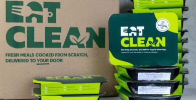 Consume Blank Evaluate: Is This Meal Supply Carrier Utility It?