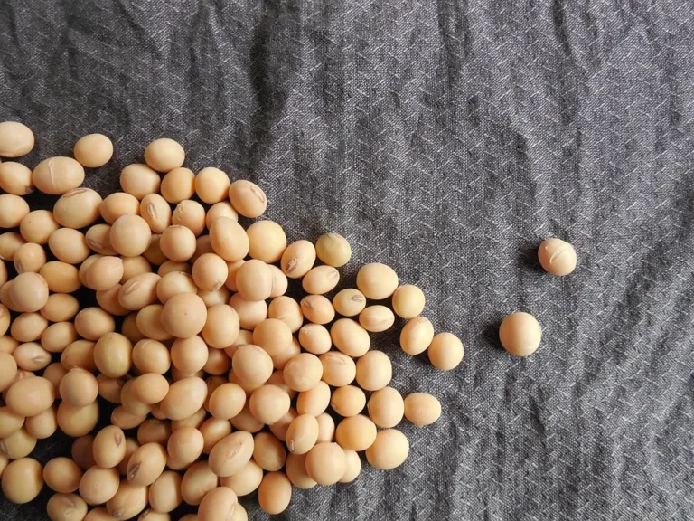 Plant-Powered Performance: How Plant-Based Supplements Can Enhance Athletic Performance