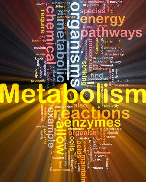 The Science Behind Metabolism-Boosting Supplements