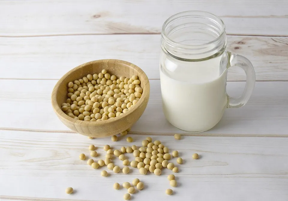 Why Plant-Based Supplements Are Taking The Health And Wellness Industry By Storm