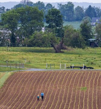 Issues To Do In Amish Nation