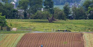 Issues To Do In Amish Nation