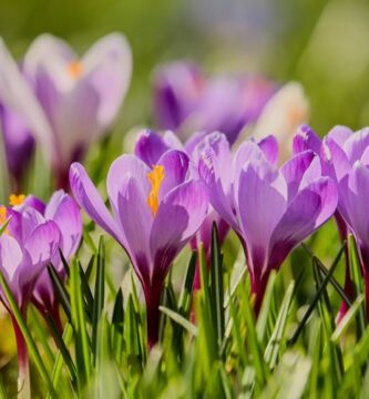 I Attempted 2d Nature Wind Filters. Right here’s My Evaluate (2025)