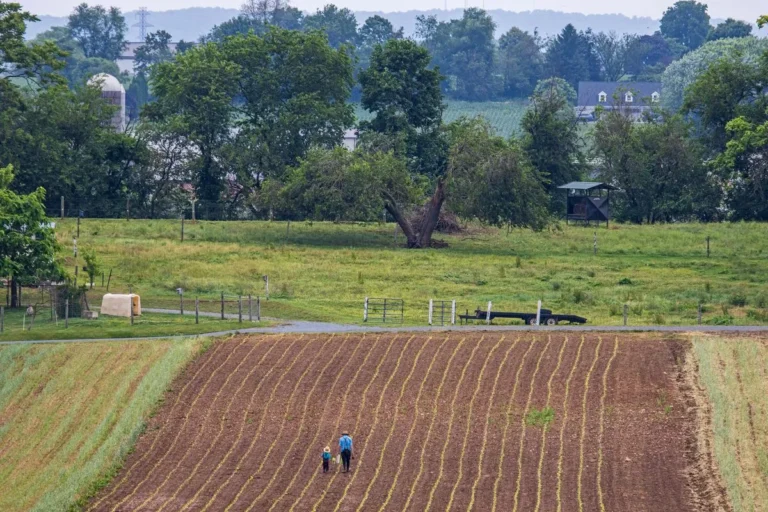 Issues To Do In Amish Nation