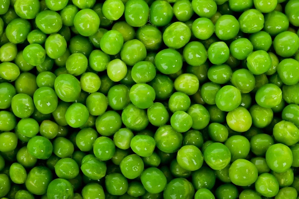 Plant-Based Power: How Supplements Derived from Plants Can Boost Your Immune System