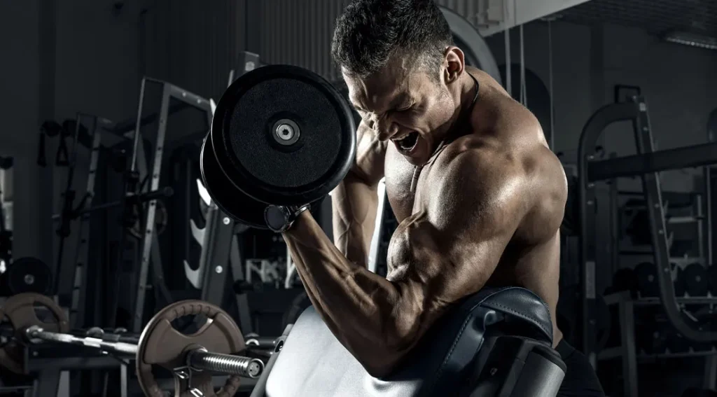 Best possible 12 Biceps Workouts Ranked: Develop Larger and More potent Fingers