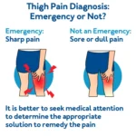 How Can You Get Rid Of Inside Thigh Heavy? A Striking, Science-Sponsored Means – HealthifyMe Weblog