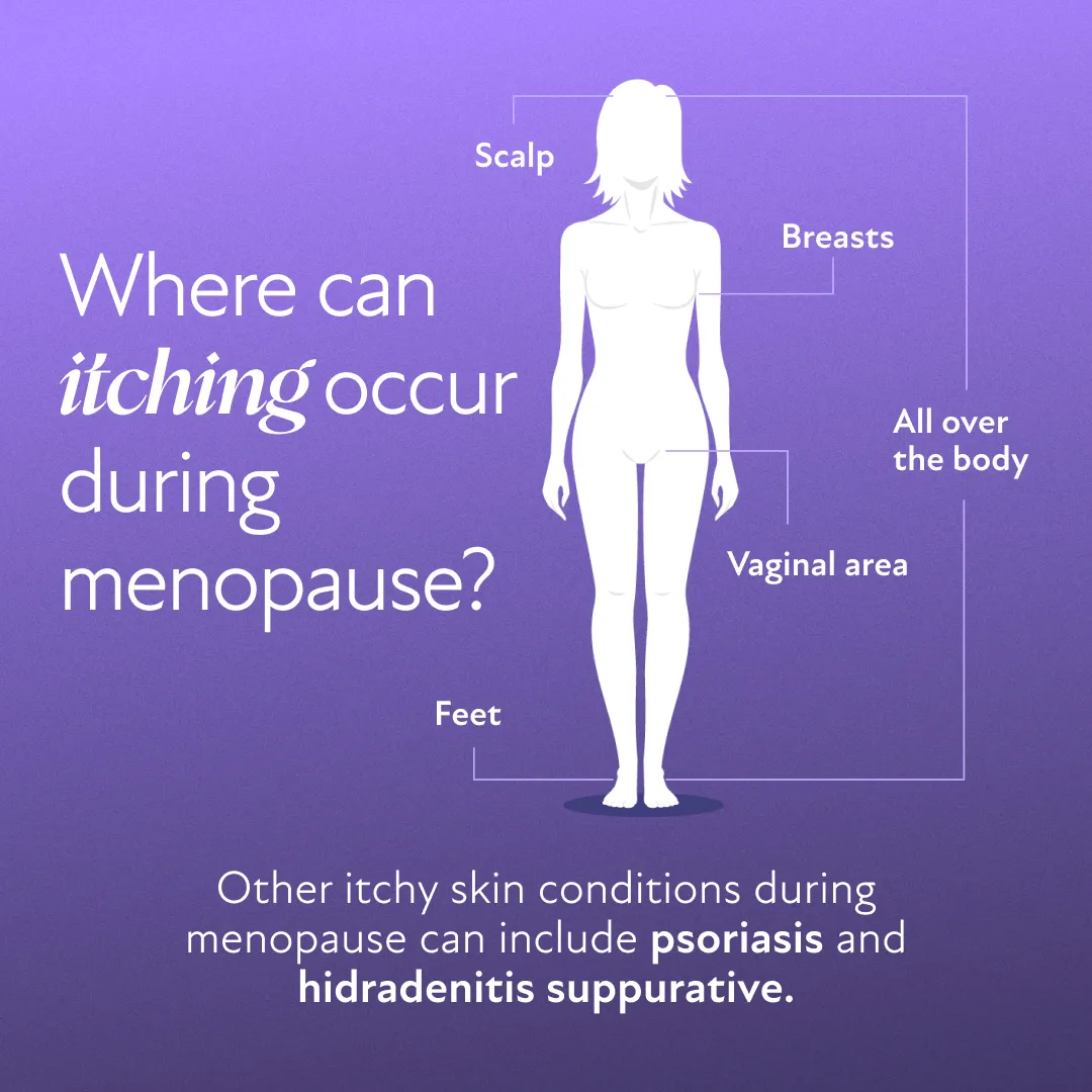Scratching The Surface: Understanding Itchy Skin During Menopause Scratching The Surface: Understanding Itchy Skin During Menopause