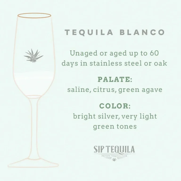 Sip Occurs: The place to Praise Nationwide Tequila While