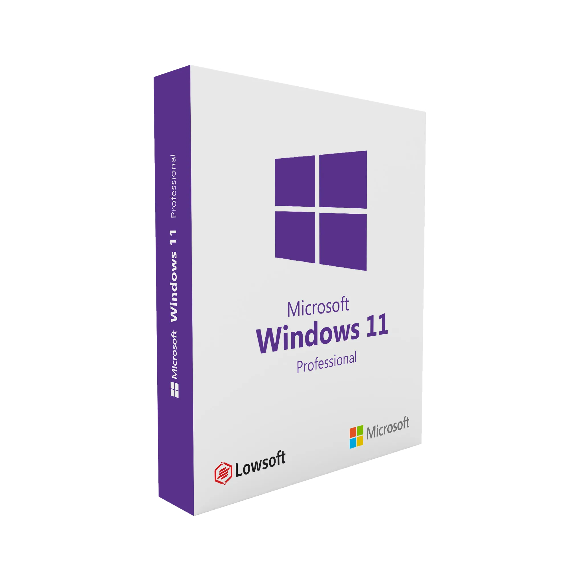 Step Away From Subscriptions and Get right of entry to Home windows 11 Professional and Microsoft Place of business Professional 2019 for 