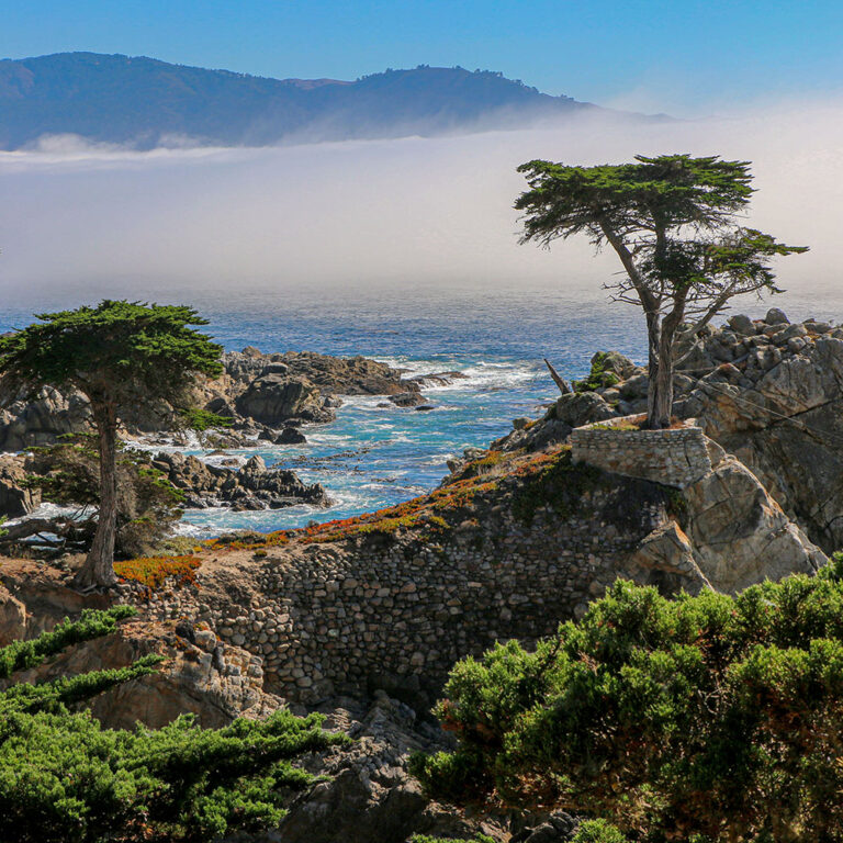 SGT Auto Delivery Evaluate. Are They Legitimate?