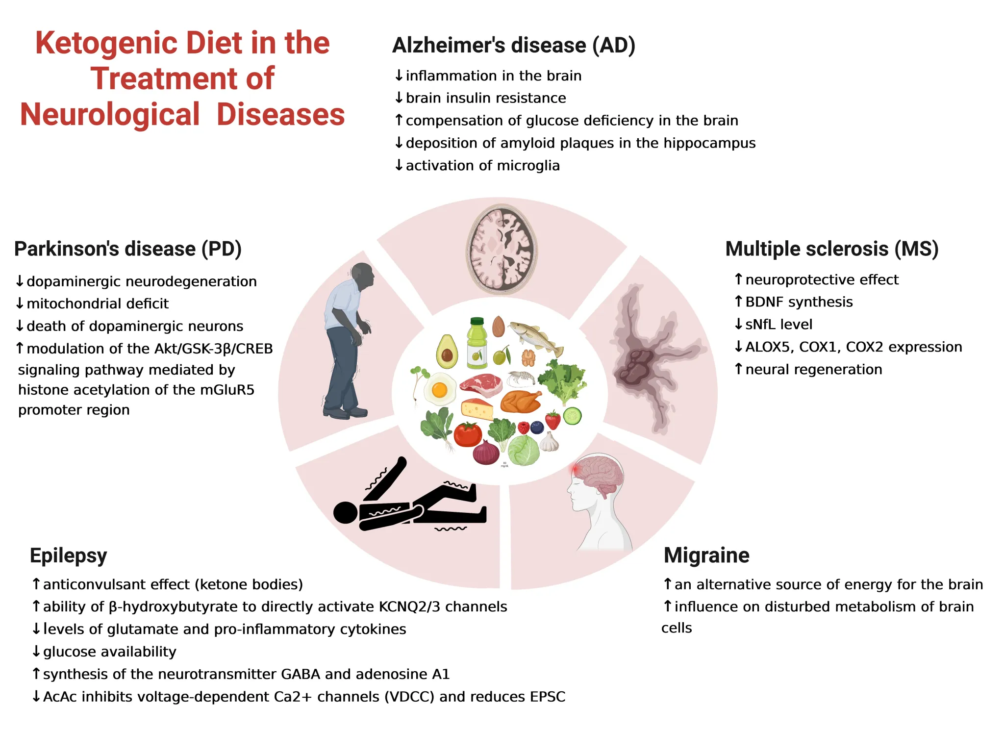 Keto Diet: A Promising Therapy for Managing Neurological Conditions