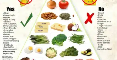 Keto Diet Deficiencies: What You Need to Know to Stay Healthy