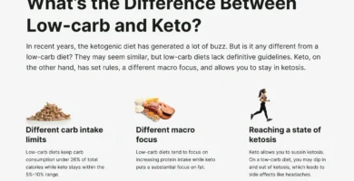 The Science Behind Keto and Low-Carb Diets: Which is More Effective?