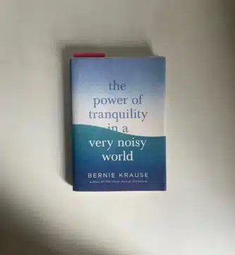 What Tranquility Management Appears Like in a Noisy International