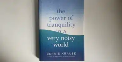 What Tranquility Management Appears Like in a Noisy International