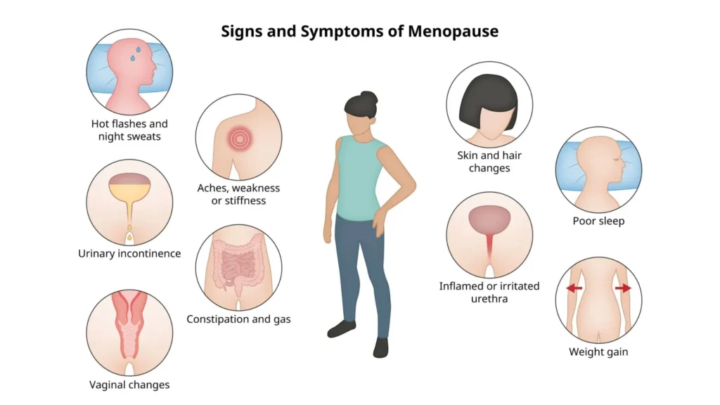 Breakthrough Menopause Relief: The Latest Findings from Clinical Studies