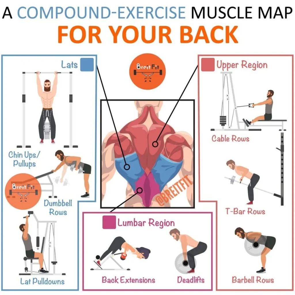 How Compound Actions Can Backup You Bulk Up & Assemble Muscle