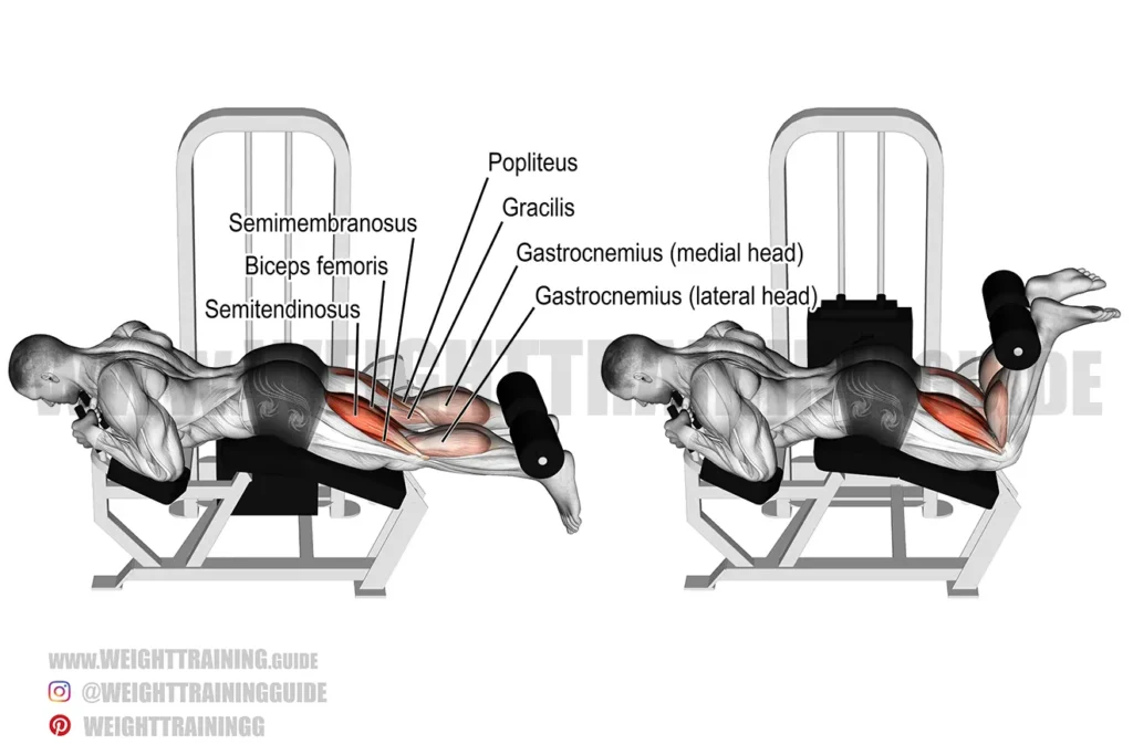 How the Unmarried-Leg Hip Extension Hamstring Curl Can Aid Form Trauma-Reluctant Legs How the Unmarried-Leg Hip Extension Hamstring Curl Can Aid Form Trauma-Reluctant Legs