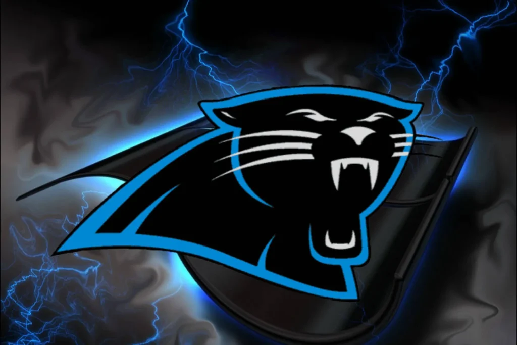 Panthers Start Unused Bankruptcy as CEO Steps Ailing Panthers Start Unused Bankruptcy as CEO Steps Ailing
