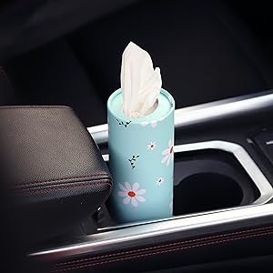 Car tissue
