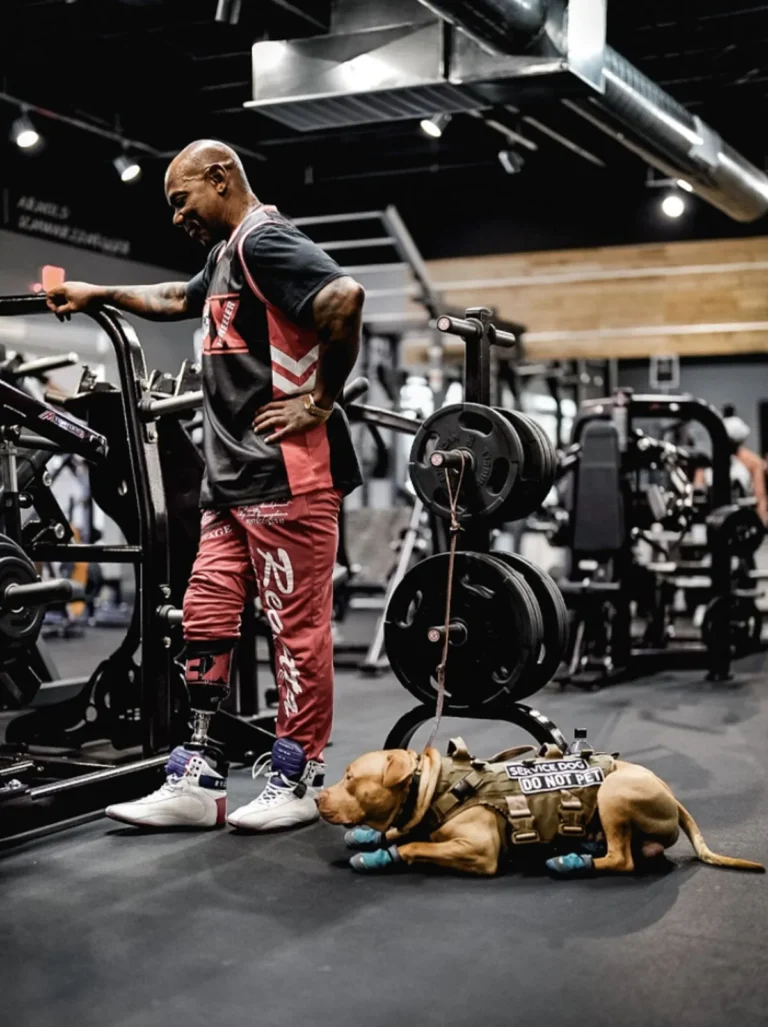 Flex Wheeler Ignites Debate on Bodybuilding’s Yellowish Hour: ‘The ’90s Have been Higher Than As of late’s Olympia Champions’