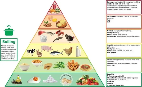 Fresh Find out about Hyperlinks Extremely Processed Meals with Power Irritation