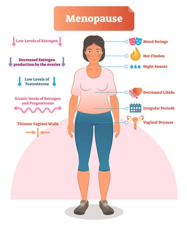 The Top-Rated OTC Remedies for Menopause Symptoms You Need to Know About