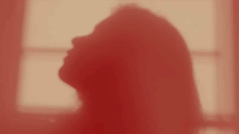 The Menopause Libido Lull: Tips for Reigniting Desire