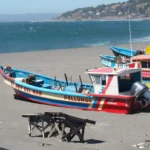 Miraculous Menorescue Operation: All Miners Rescued Safely