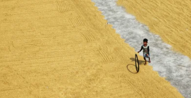 Team USA Paralympic Sled Hockey Stars Declan Farmer Describes His Life as an athlete