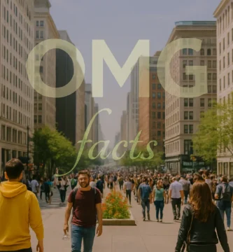 The Ultimate Guide to Menorescue Ingredients: What You Need to Know