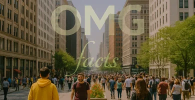 The Ultimate Guide to Menorescue Ingredients: What You Need to Know