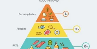 A Closer Look at Ketosis: How Does the Keto Diet Transform Your Body?