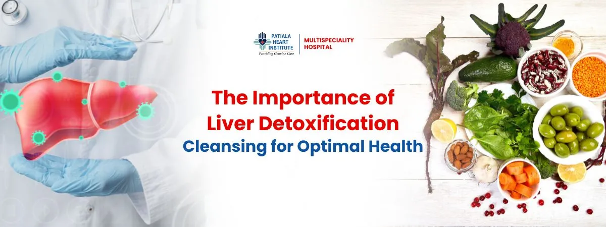 Breaking Down the Benefits of Liver Detox: Why It’s Essential for Your Health