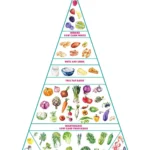 The Ultimate Guide to Keto Diet Resources for Beginners