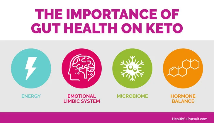 Why Gut Health Is Crucial for Keto Success Why Gut Health Is Crucial for Keto Success